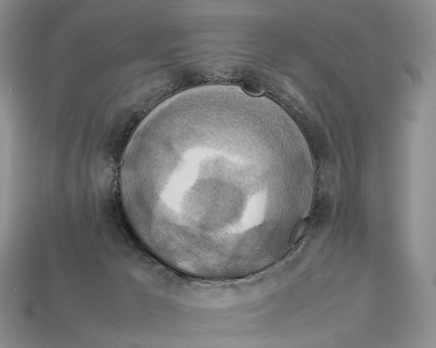 X0000112950029200909211204