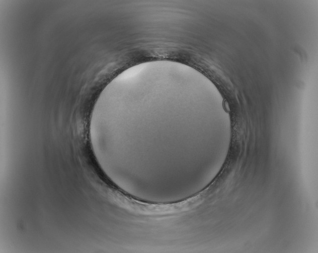 X0000112950031200909211204