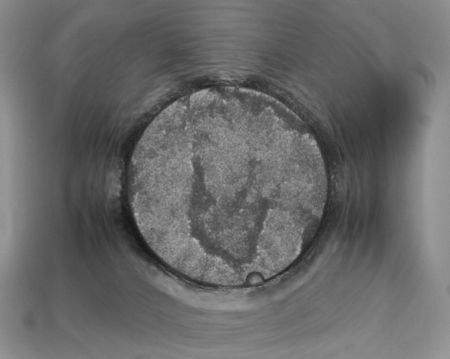 X0000112950032200909211204