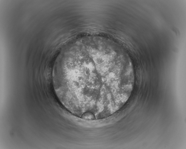 X0000112950034200909211204