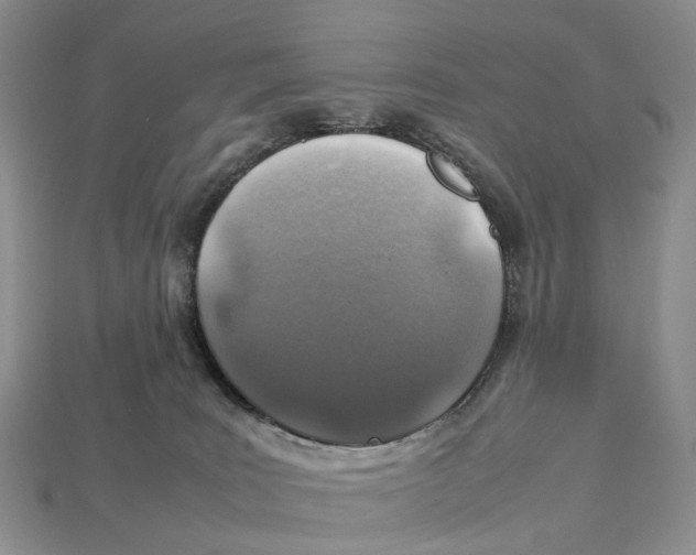 X0000112950035200909211203