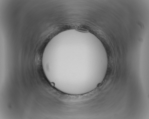 X0000112950037200909211203