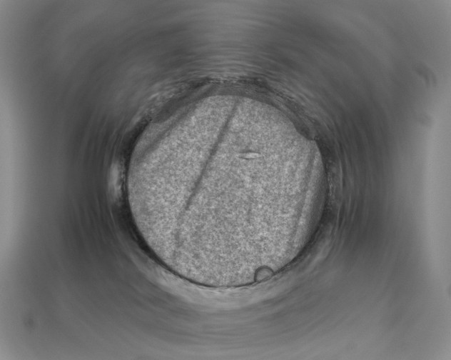 X0000112950038200909211203
