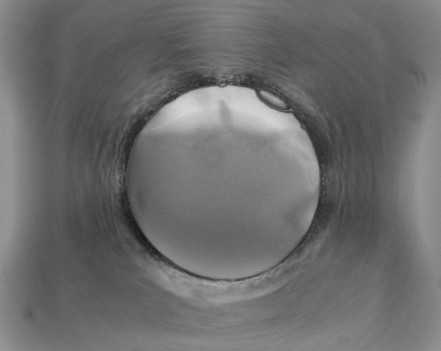 X0000112950039200909211203
