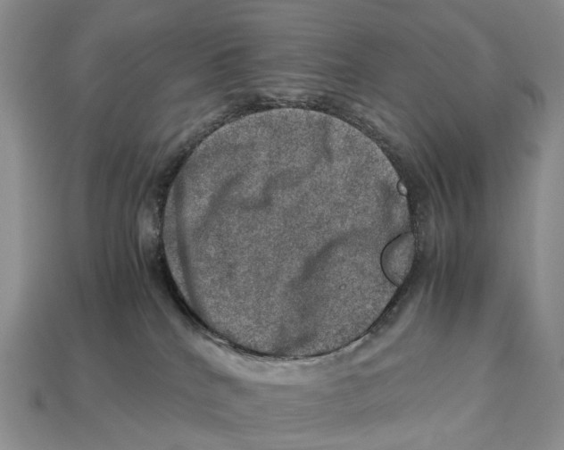 X0000112950040200909211203