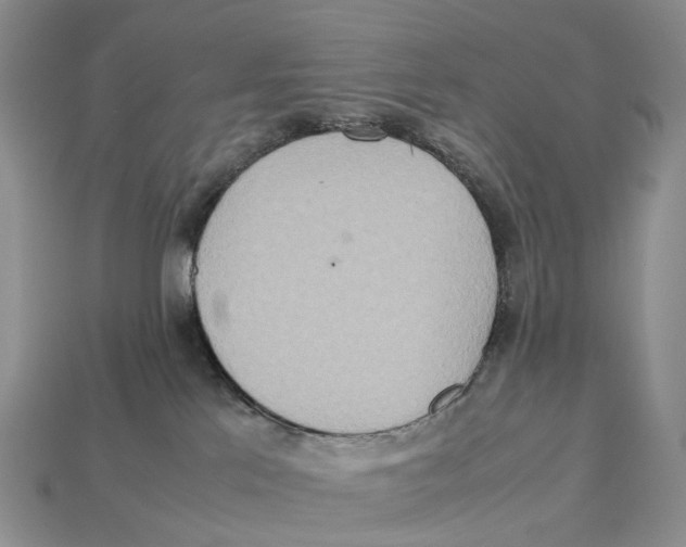 X0000112950041200909211203