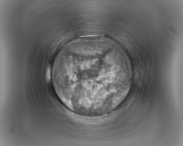 X0000112950042200909211203