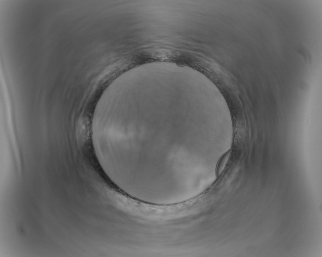 X0000112950043200909211203