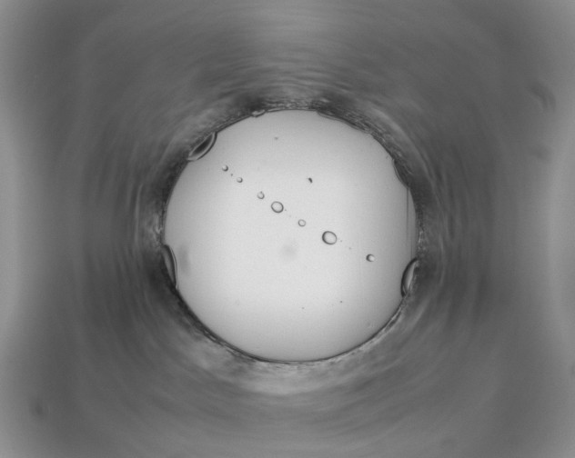X0000112950045200909211203