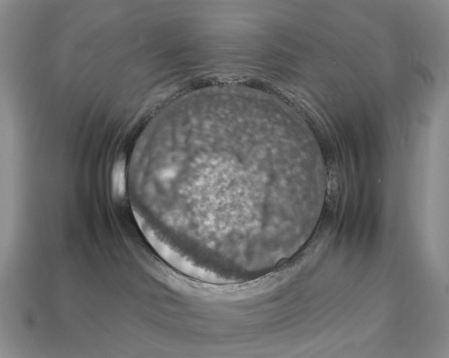 X0000112950046200909211203