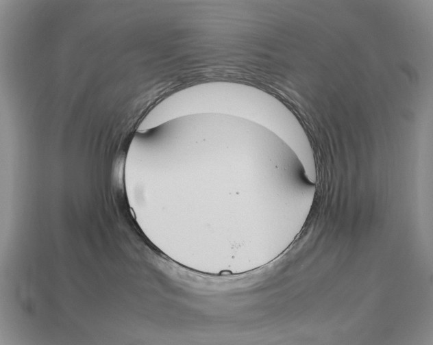 X0000112950047200909211203