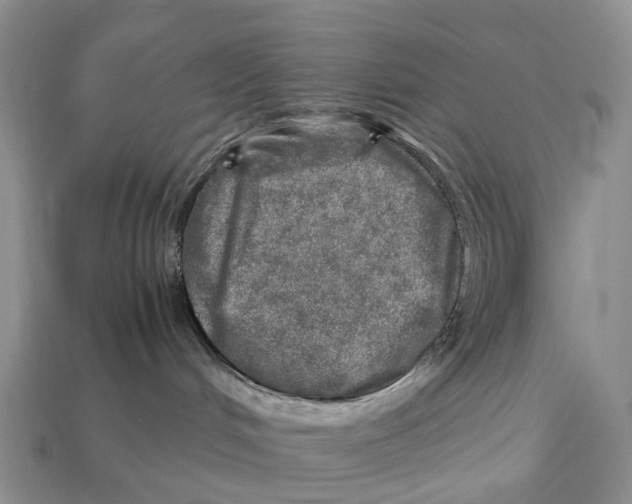 X0000112950048200909211203