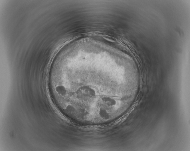 X0000112950049200909211203