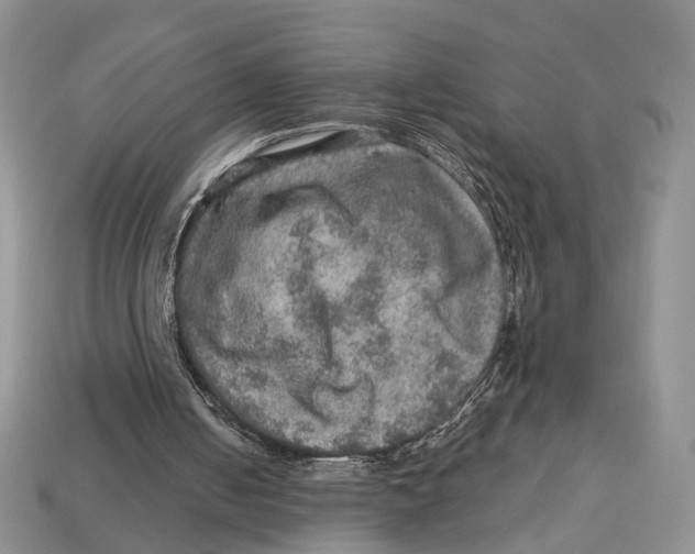 X0000112950050200909211203
