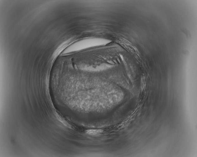 X0000112950051200909211203