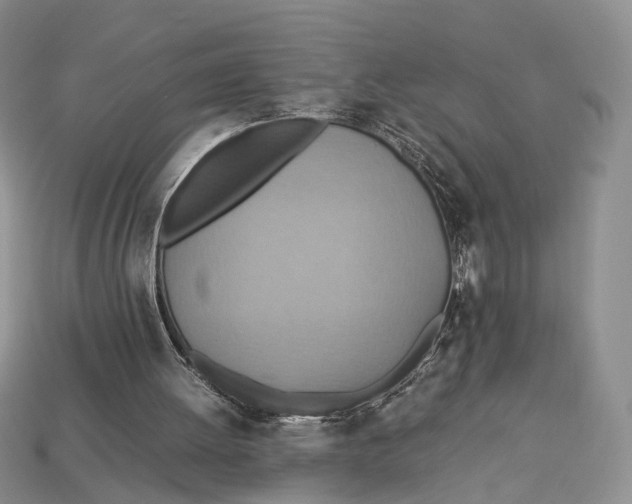 X0000112950052200909211203