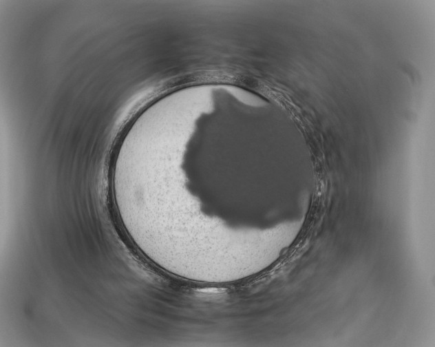 X0000112950053200909211203