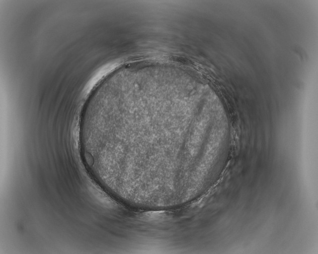 X0000112950054200909211203