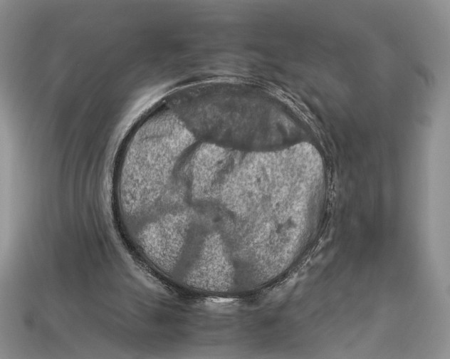 X0000112950055200909211203