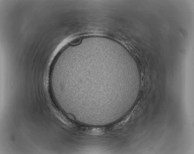 X0000112950056200909211203