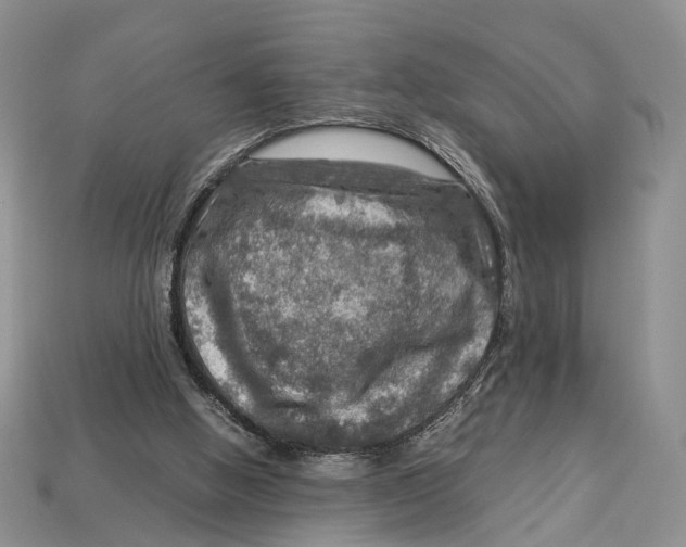 X0000112950058200909211203