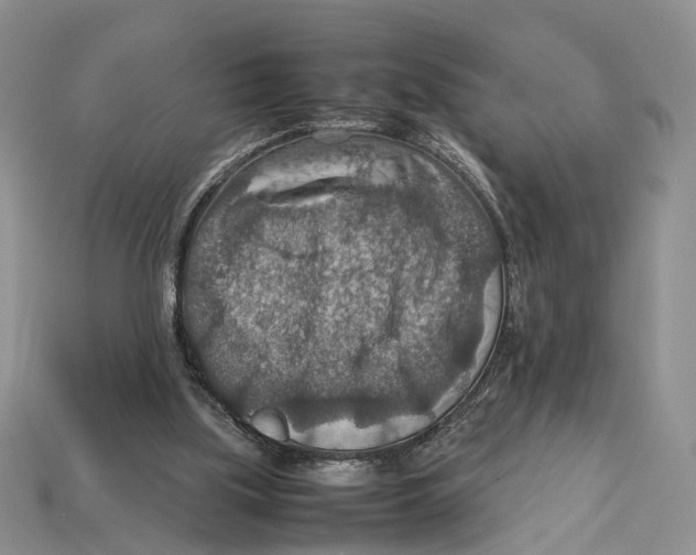 X0000112950059200909211203