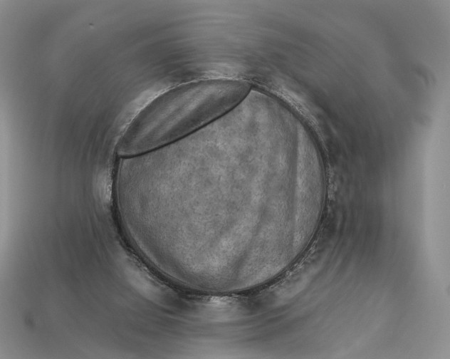X0000112950060200909211203
