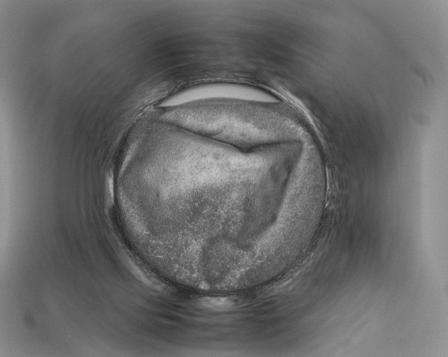 X0000112950061200909211203