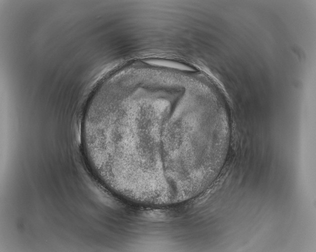 X0000112950062200909211203