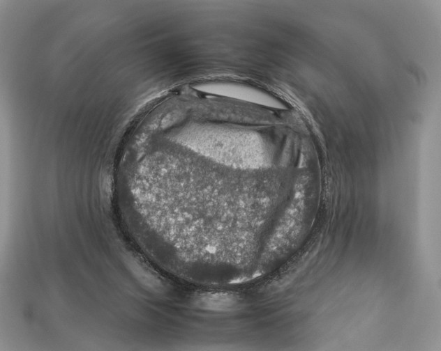 X0000112950063200909211203