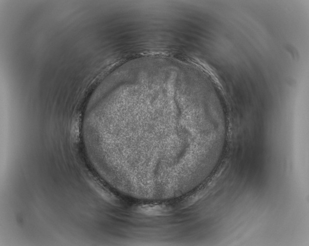X0000112950065200909211203
