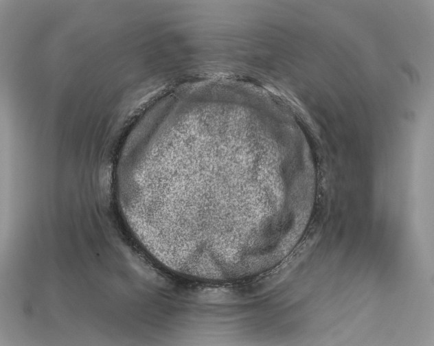 X0000112950066200909211203