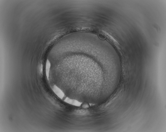 X0000112950067200909211203