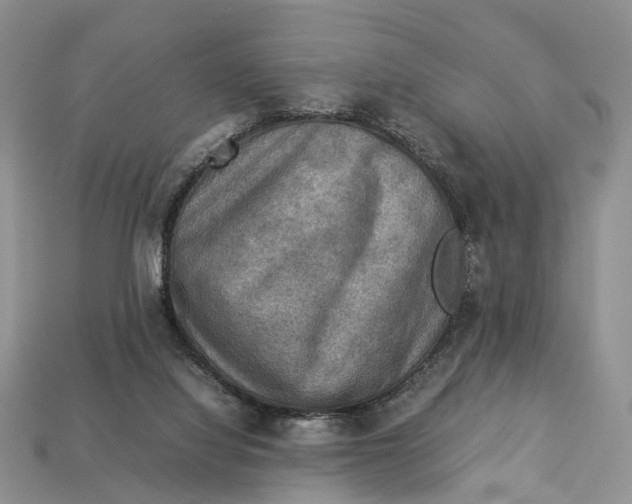 X0000112950068200909211203