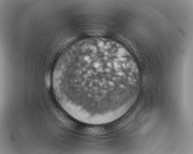X0000112950069200909211203