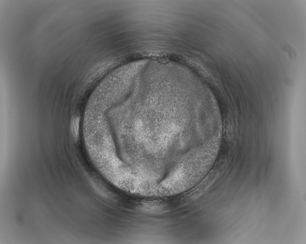 X0000112950070200909211203