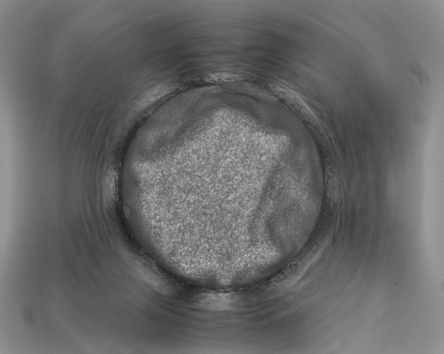 X0000112950071200909211203