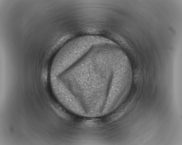 X0000112950072200909211203