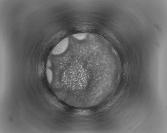 X0000112950073200909211203