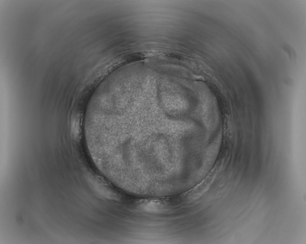 X0000112950074200909211203