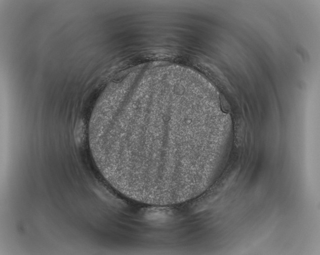 X0000112950077200909211203