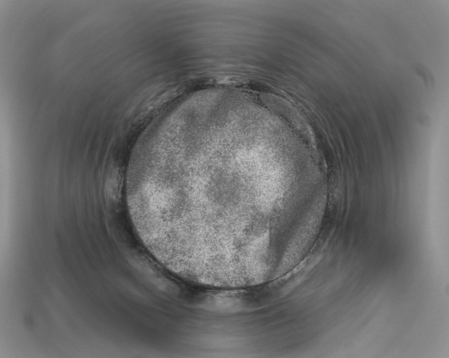 X0000112950078200909211203