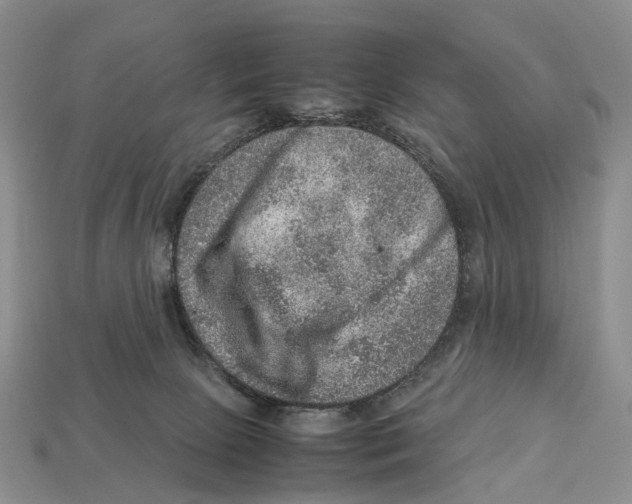 X0000112950081200909211203