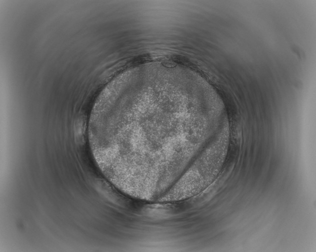 X0000112950082200909211203