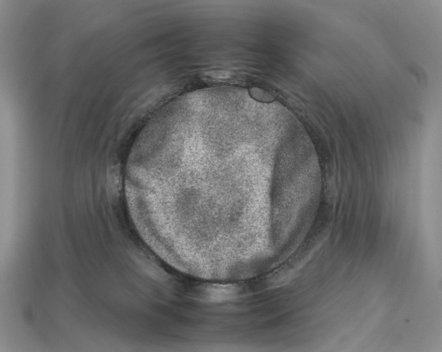X0000112950085200909211203