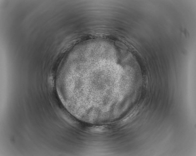 X0000112950086200909211203