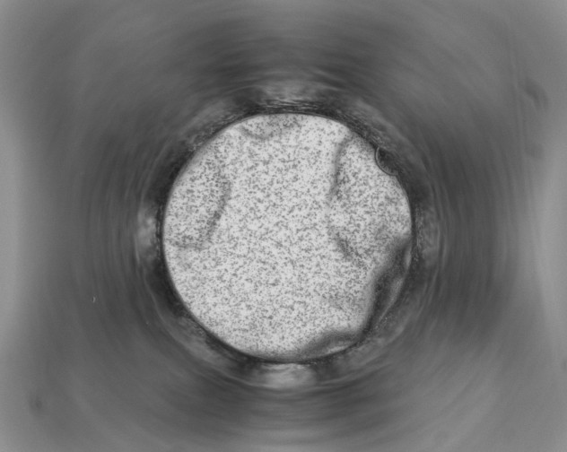 X0000112950087200909211203