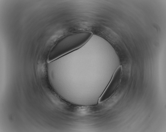 X0000112950088200909211203