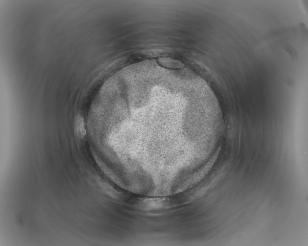 X0000112950089200909211203