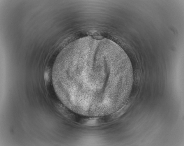 X0000112950090200909211203